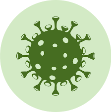 image_2022_04_29T08_28_19_685Z